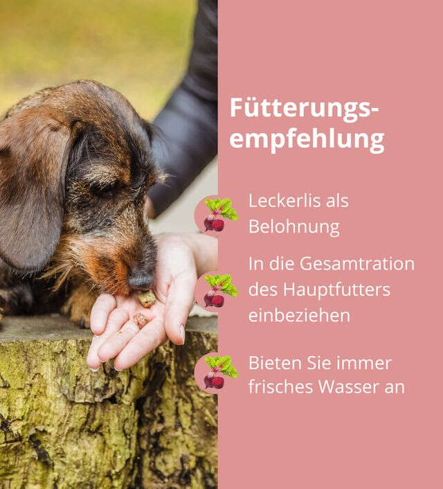 Höveler DOG Pur.SNAXX Rind + Joghurt Höveler DOG Pur.SNAXX Rind + Joghurt